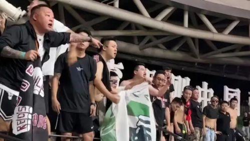 辽宁爆料假球事件始末视频,揭秘足球黑幕的惊心动魄历程